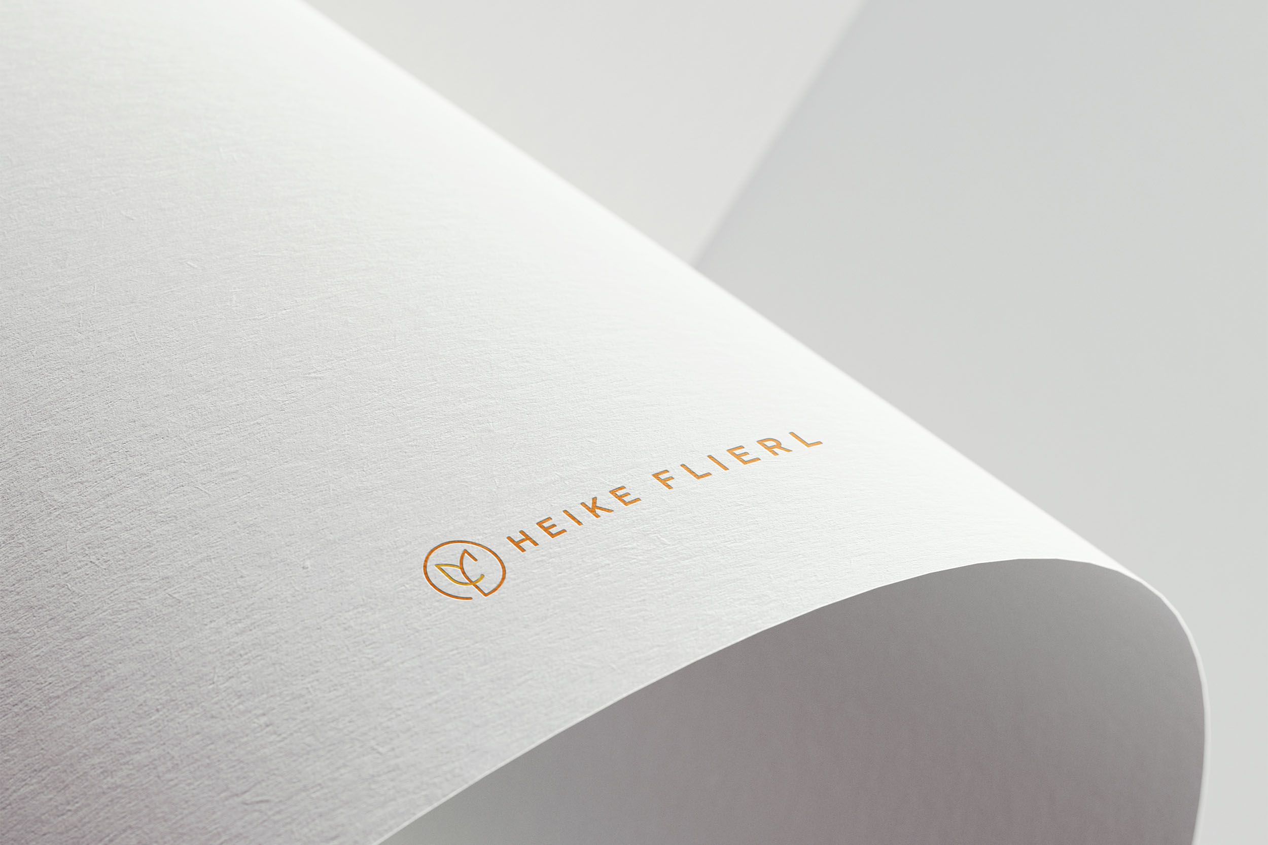 IIP_Flierl_2